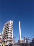 昨日のお礼と最新の巨塔さん