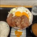 念願の