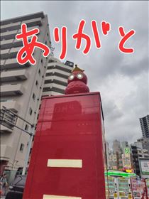 かえで・完売しました