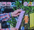 もうすぐ七夕