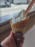 SDGsだね