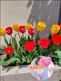 情報過多すぎるブログ