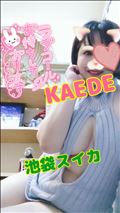 まだご案内可能だよ！