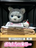 【がおがお～！】ボクたちのお家が…♡