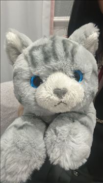 ななこ・ボクの名は…♡