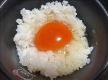ななこ・日本たまごかけごはん研究所♡行かなきゃ損損