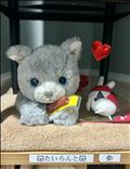 【がおがお～！】みんな久しぶり～♡