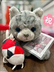 ななこ・エブリディ ヤングライフ♡