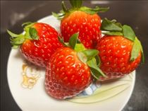 ななこ・“禁断”って感じ…する♡