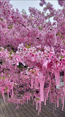 ななこ・1億年ぶりくらいに…♡