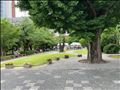 立教大学に入りました