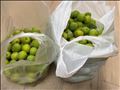大量にゲット