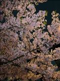 圧倒的な美