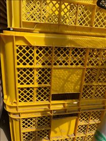 るい・ただいまー