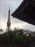 あ！東京タワーだ！