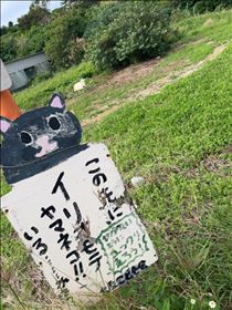 るい・世界自然遺産　西表島