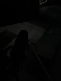 るい・黒いね　笑