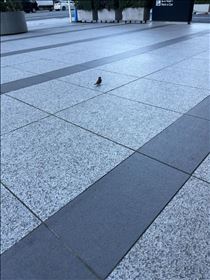るい・コンクリートばっかりなのに