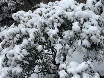 るい・驚き