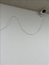 るい・ブログ連投失礼します
