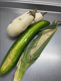 るい・今回の戦利品
