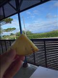 パイナップル畑と海を見ながら　つづき