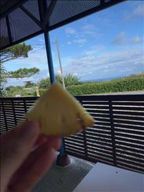 るい・パイナップル畑と海を見ながら　つづき