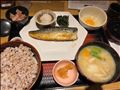 白身はどへゆくのだろう