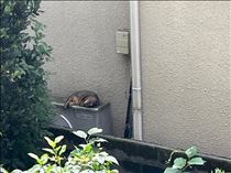 るい・久しぶりに来た～