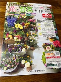 るい・種会社の雑誌