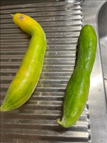 ただいまー