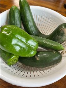 るい・先週収穫した野菜たち