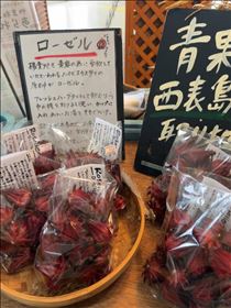 るい・初めて見た　これはローゼル