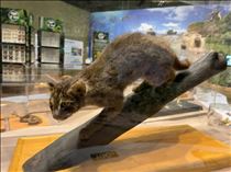 るい・今年は終わりっ