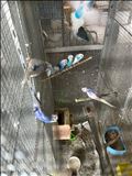 実家帰る度に増える