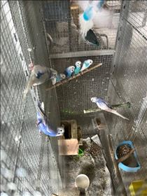 るい・実家帰る度に増える
