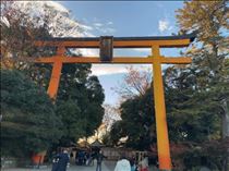 るい・たまたま