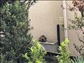 一個前のブログのアンサー