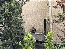るい・一個前のブログのアンサー