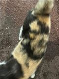 さささむい