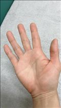 チャットGPTで、手相やってみたーー