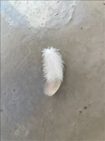 るい・ちょっと嬉しい