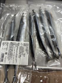 るい・秋刀魚、大量ゲット