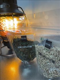 るい・いいの見つけたぞ