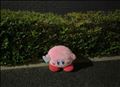 黄昏れてたのはこの子でした