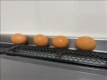 るい・今日が終わって明日が来た