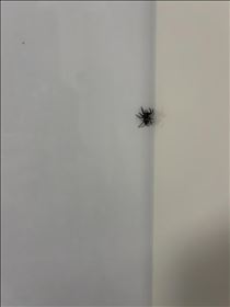 るい・おっと、