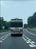 馬が中にいるらしい