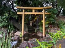るい・いつもブログを見てくれてるファンの方にむけて