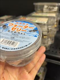 るい・まだまだ続くオザキフラワーパーク